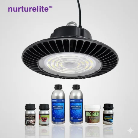 culture-hydroponique2641856
