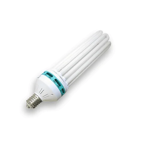 culture-hydroponique2643214