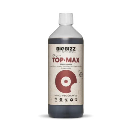 culture-hydroponique2643914