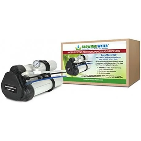 culture-hydroponique2644634