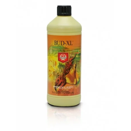 culture-hydroponique2645067