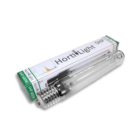 culture-hydroponique2645129