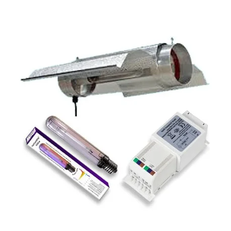 culture-hydroponique2645251