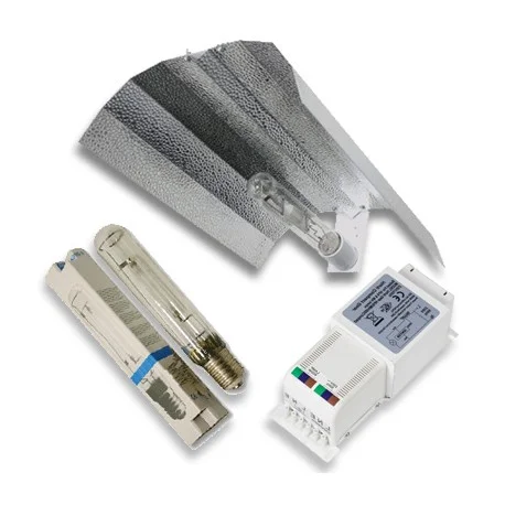 culture-hydroponique2645302