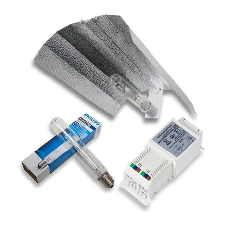 culture-hydroponique2645774