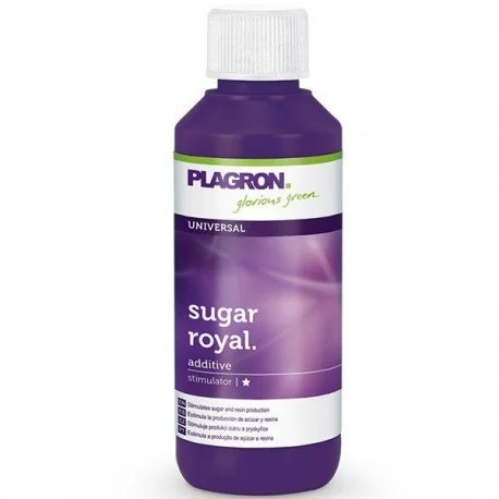 culture-hydroponique2646673