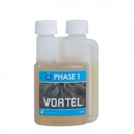 culture-hydroponique2647464