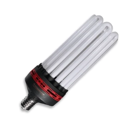 culture-hydroponique2648457