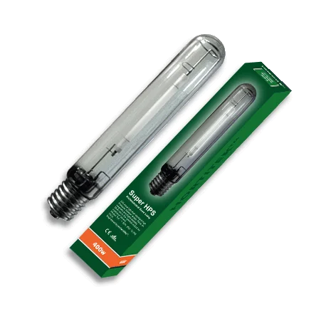 culture-hydroponique2648734