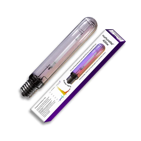 culture-hydroponique2648762