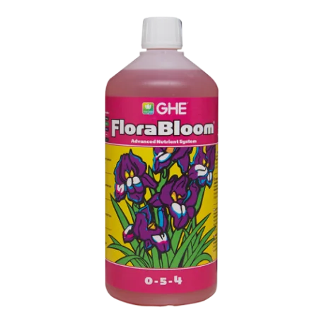culture-hydroponique2649551