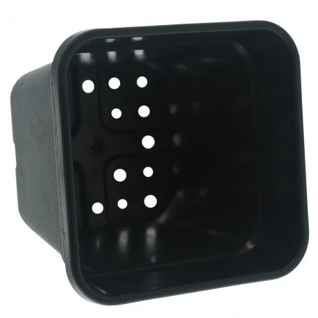 hydrozone2661032