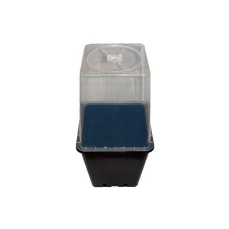hydrozone2661570