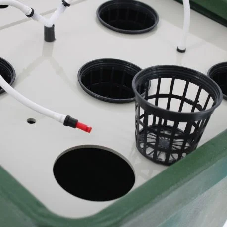 hydrozone2662652