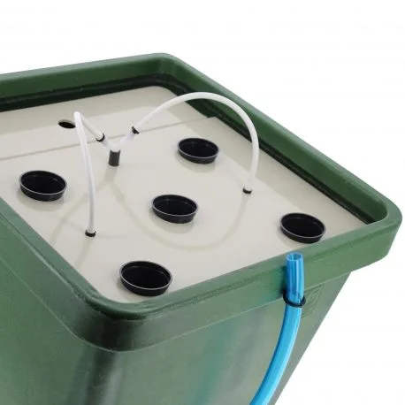 hydrozone2668050