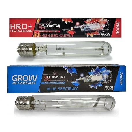 hydrozone2681042