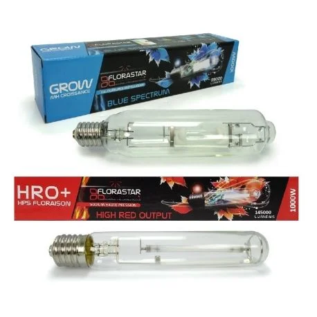 hydrozone2681073