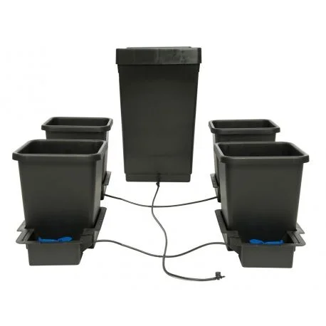hydrozone2683315
