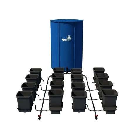 hydrozone2683334