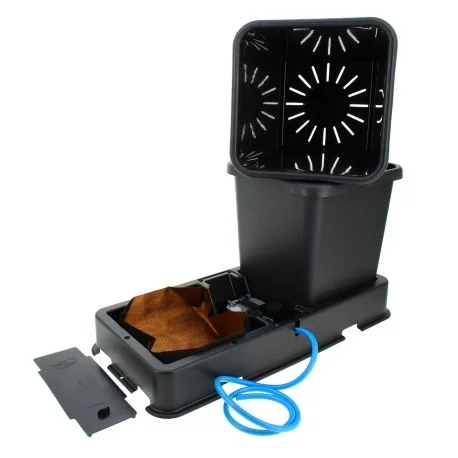 hydrozone2702339