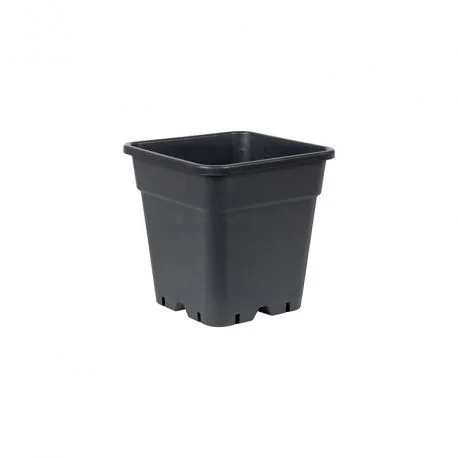 hydrozone2705585
