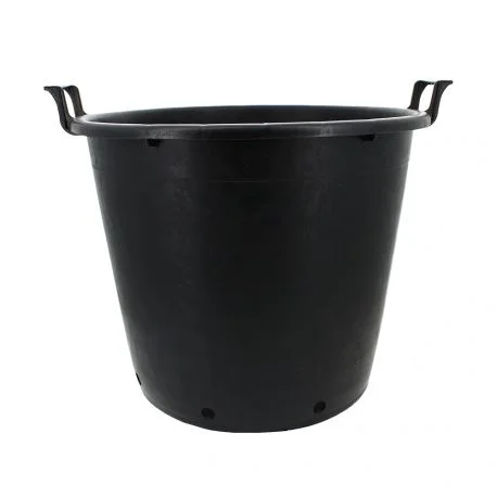 hydrozone2709928