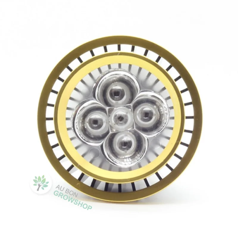 jardins-alternatifs-grenoble2704614