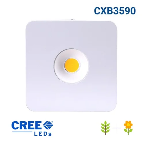 jardins-alternatifs-grenoble2763560
