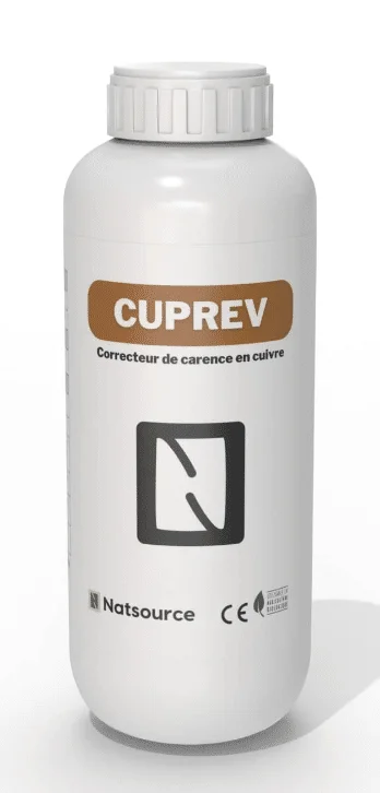 jardins-alternatifs-grenoble2764855