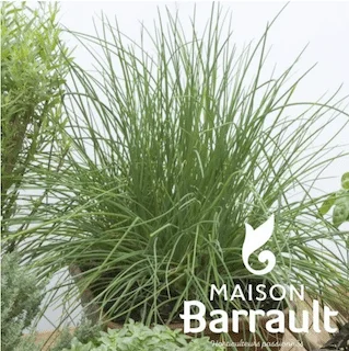 jardins-alternatifs-grenoble2766972
