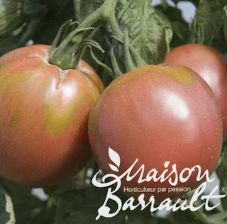 jardins-alternatifs-grenoble2767024