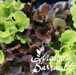 jardins-alternatifs-grenoble2767163