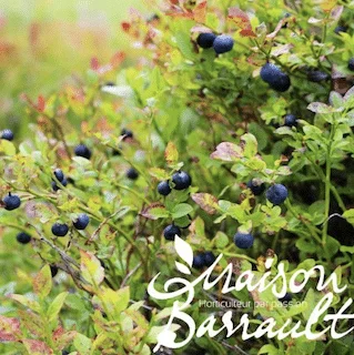 jardins-alternatifs-grenoble2767255