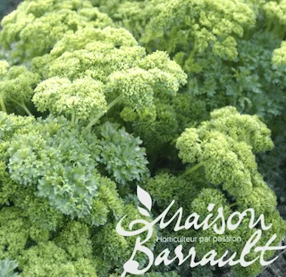 jardins-alternatifs-grenoble2767421