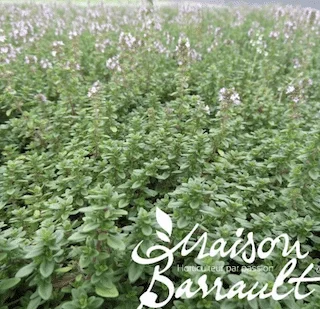 jardins-alternatifs-grenoble2767468