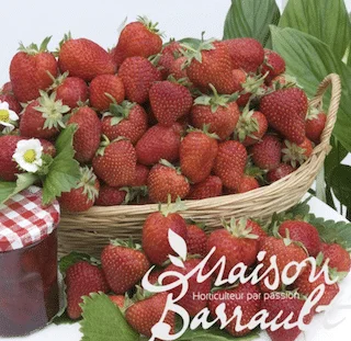 jardins-alternatifs-grenoble2767533