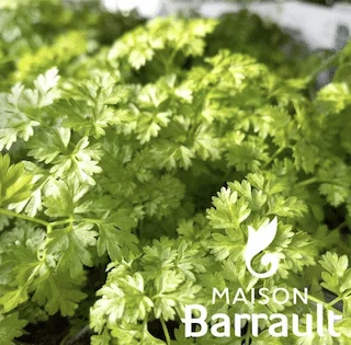jardins-alternatifs-grenoble2767651