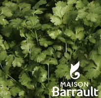 jardins-alternatifs-grenoble2767664
