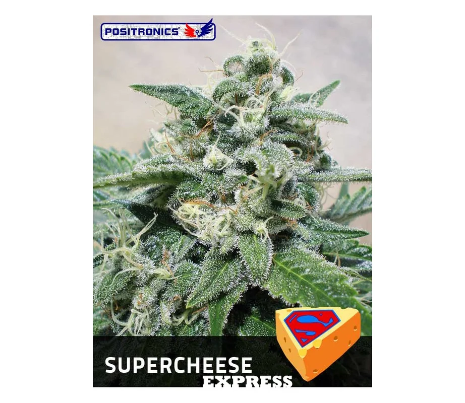 lahuertagrowshop2661827
