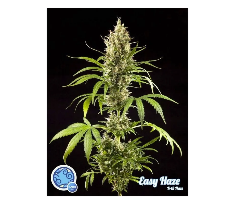 lahuertagrowshop2682045