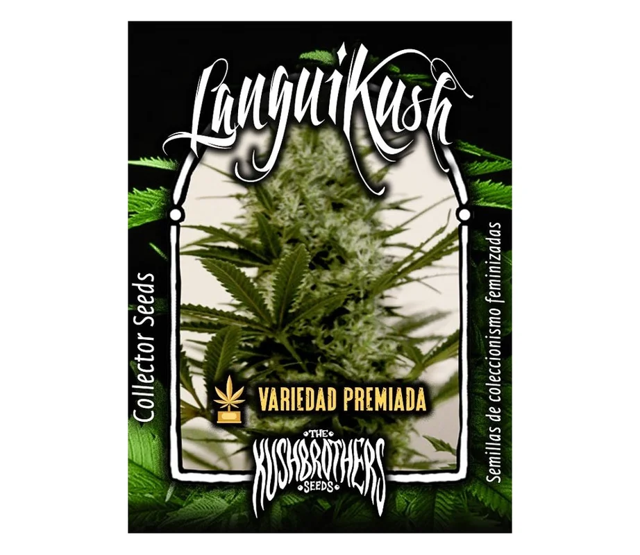 lahuertagrowshop2683941