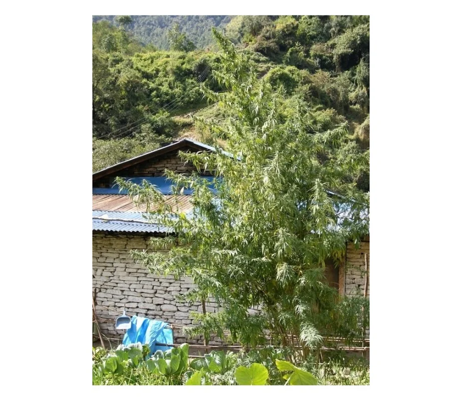 lahuertagrowshop2704421