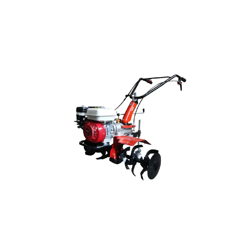 newgardenstore-12769998