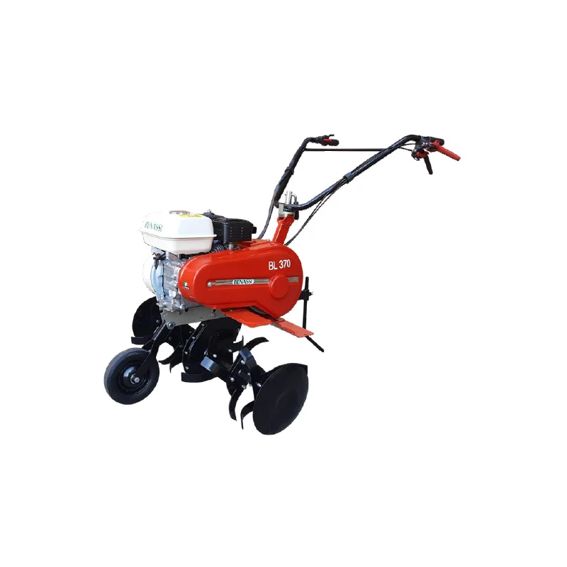 newgardenstore-12770080