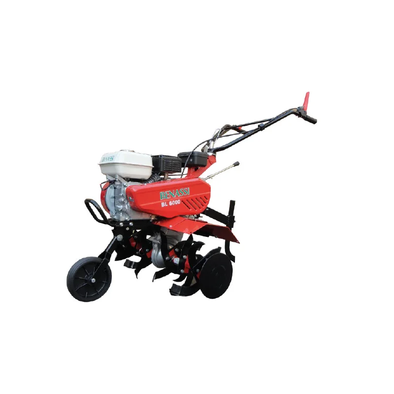 newgardenstore-12770192