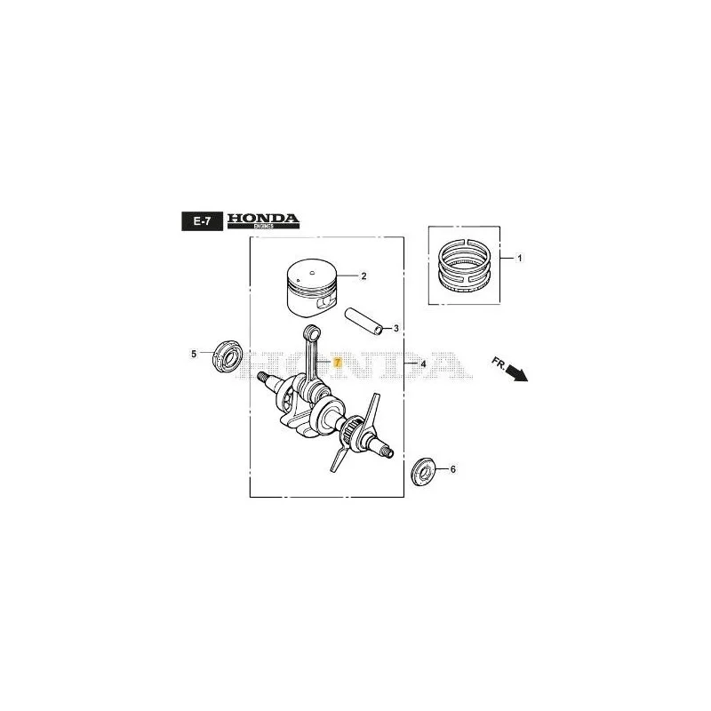 newgardenstore-12894835
