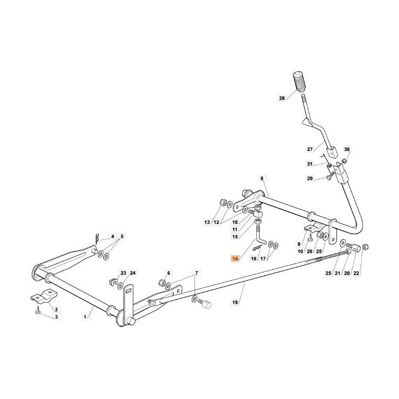 newgardenstore-13064881
