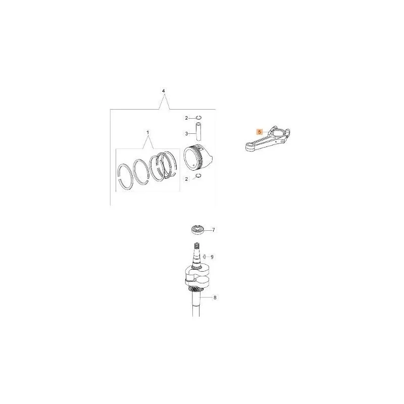 newgardenstore-13065875
