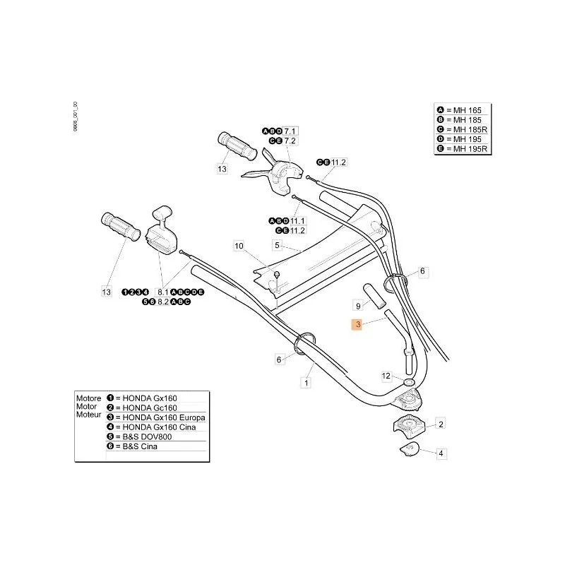 newgardenstore-13070689