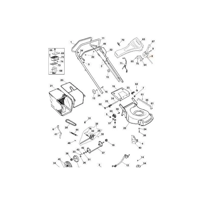 newgardenstore-13073798